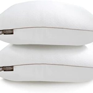 Makimoo Premium 2-Pack Standard Size Sleeping Pillow, Bed Pillow, Super Soft Down Alternative with Washable Covers, Microfiber Filling, Set of 2