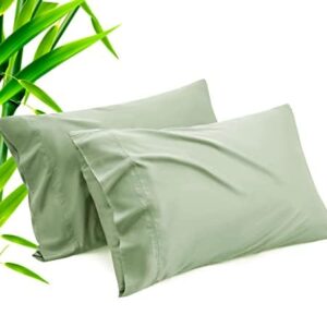 Green Pillow Cases Standard Size 2 Pack, Bamboo Rayon Cooling Pillowcases with Envelope Closure, Cool Breathable Pillow Case for Hot Sleepers & Night Sweats, 20x26 inch