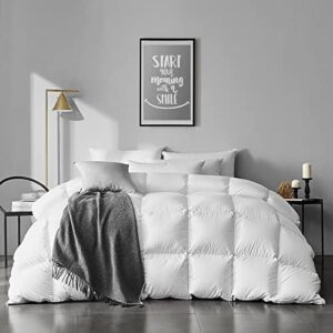 APSMILE Queen Size Feather Down Comforter - Ultra Soft All Seasons 100% Organic Cotton Feather Down Duvet Insert Medium Warm Quilted Bed Comforter with Corner Tabs (90x90,Ivory White)